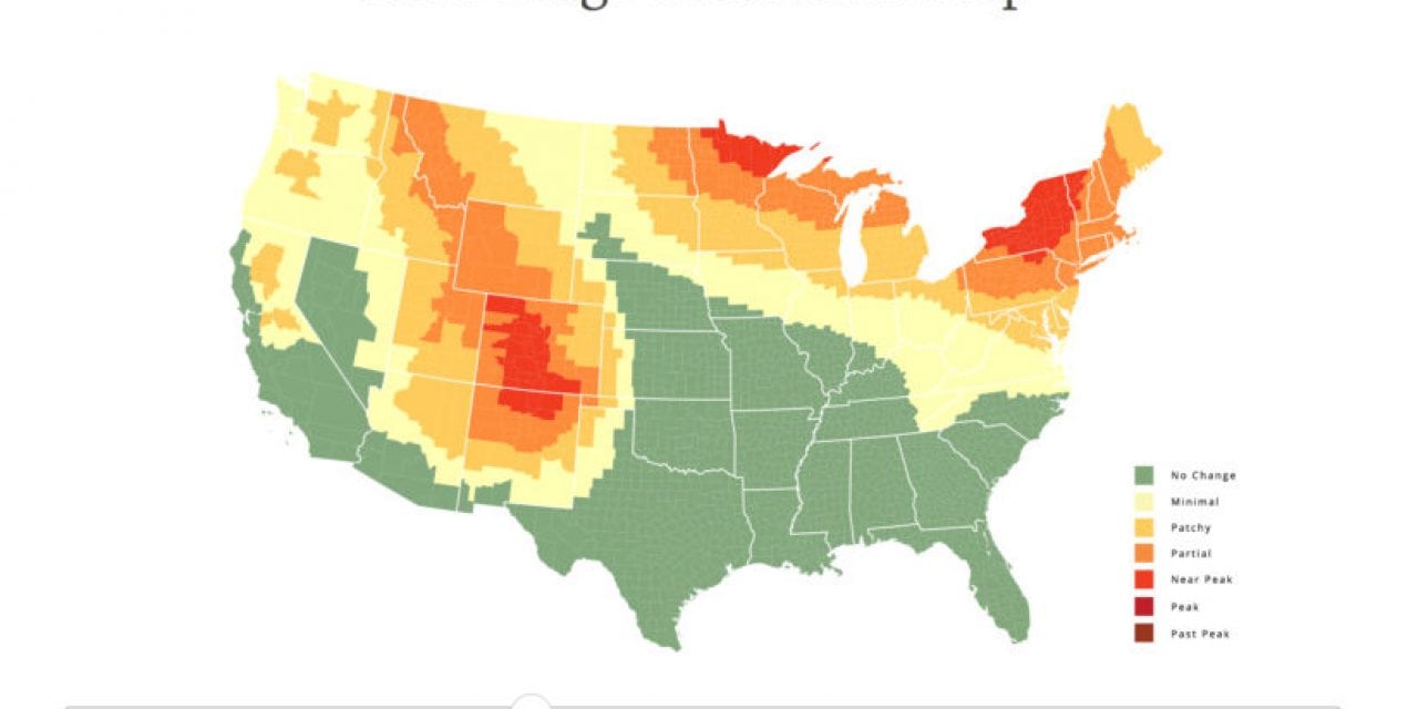 Plan Your Fall Color Photography With This Prediction Map