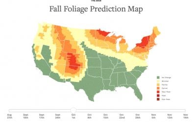 Plan Your Fall Color Photography With This Prediction Map