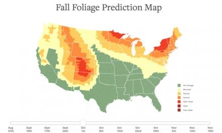 Plan Your Fall Color Photography With This Prediction Map