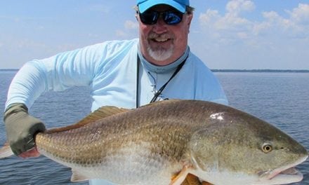 Pop a Redfish of a Lifetime this fall on a Storm 360GT