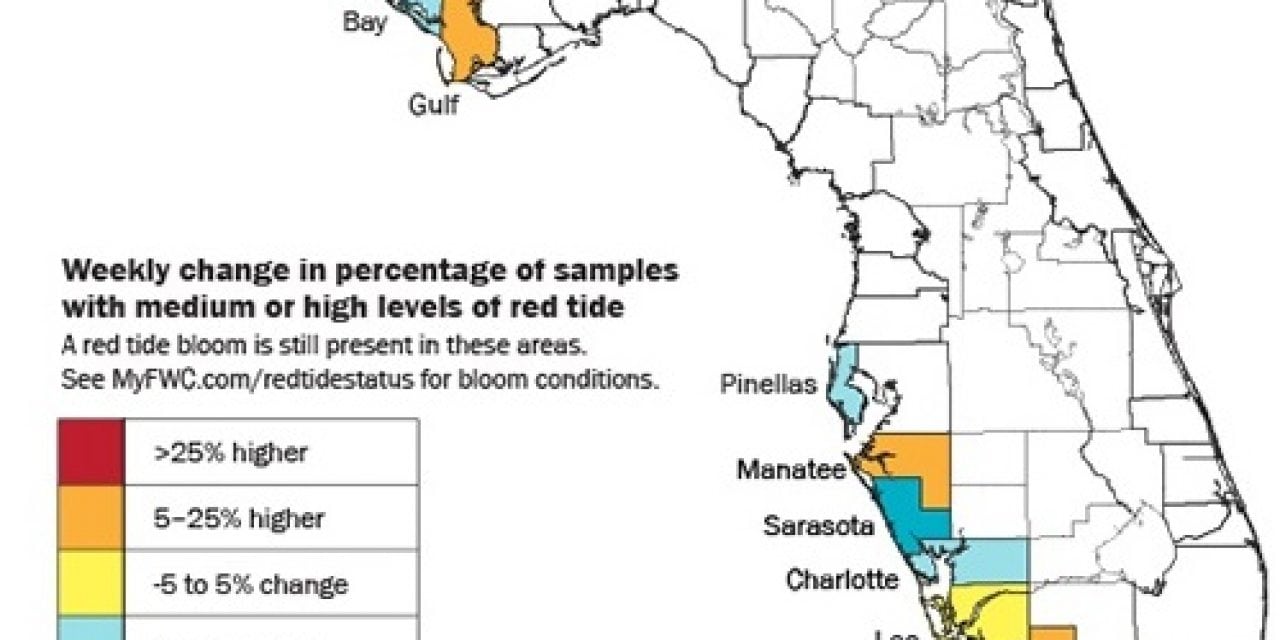 Red Tide Continues To Disturb Flordia’s West Coast