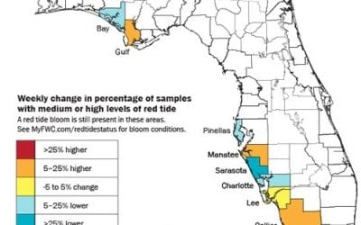 Red Tide Continues To Disturb Flordia’s West Coast
