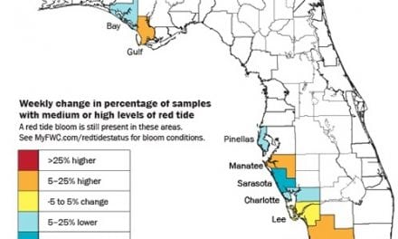 Red Tide Continues To Disturb Flordia’s West Coast