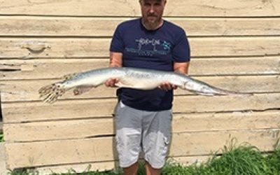 Rensselaer County Angler Catches State Record Longnose Gar