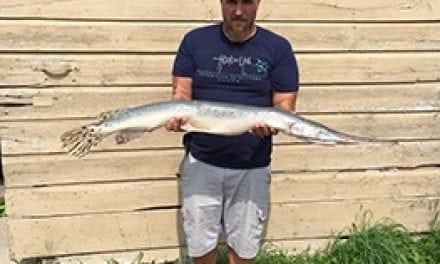 Rensselaer County Angler Catches State Record Longnose Gar