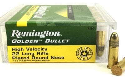 Solids vs. Hollowpoints: What Will You Load in Your .22 for Small Game?