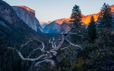 Streamlining my Photography Kit for Adventure