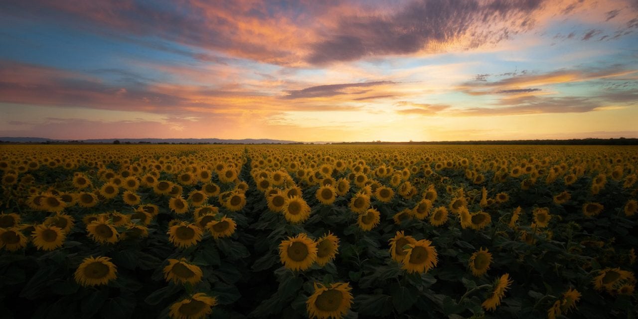 Summer Sunrises And Sunsets Assignment Winner Jason Chong