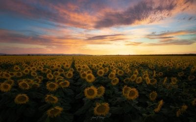 Summer Sunrises And Sunsets Assignment Winner Jason Chong