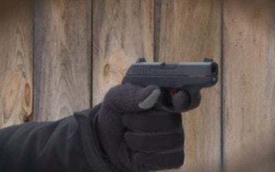 Sunday Gunday: .380 ACP Cartridge is Here to Stay