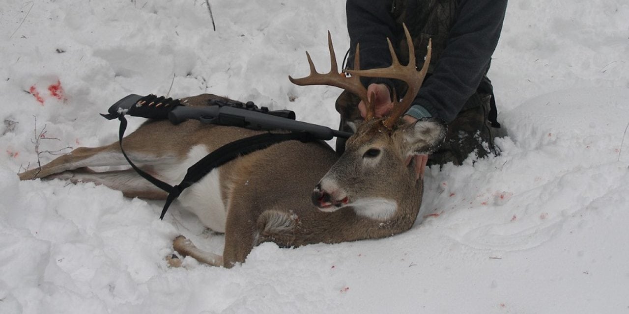 The Beginner’s Guide to Whitetail Deer Hunting