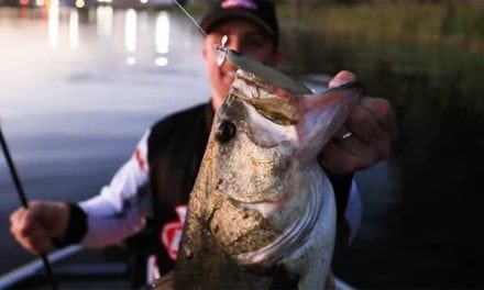 The Rundown of Berkley’s Just-Released Topwater Lures