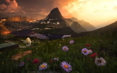 The Summer Scene Assignment Winner Joshua Snow