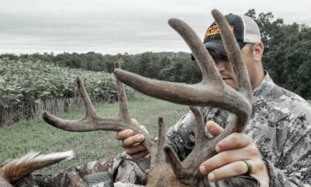 These 4 Proven Hunting Tactics Only Require Patience