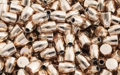 These are the Best .380 ACP Self-Defense Ammo Choices