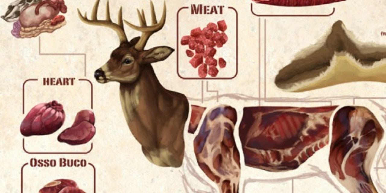 This Diagram Makes Butchering a Deer Look Easy