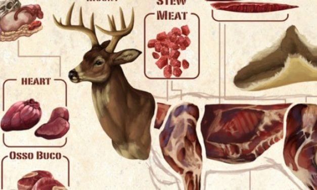 This Diagram Makes Butchering a Deer Look Easy