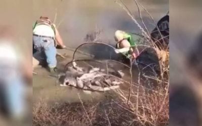 This Is What Happens When You Have More Carp Than Boat