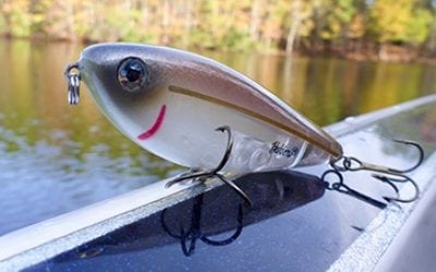 Top Picks for Late Summer Bass