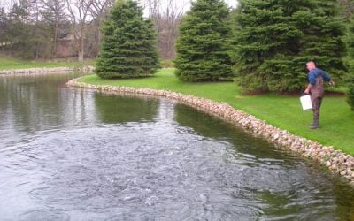 Trout Slam Update, September 2018