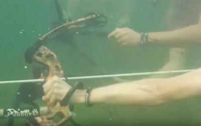 Video: Is Underwater Bowfishing Even Possible?