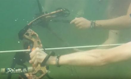 Video: Is Underwater Bowfishing Even Possible?