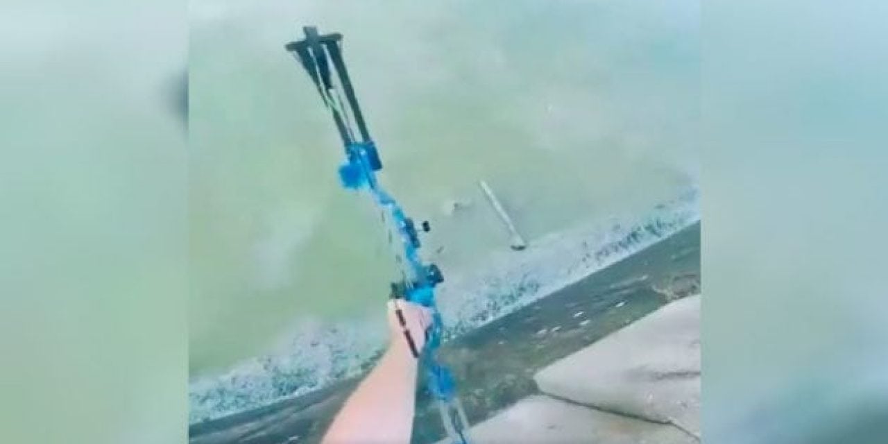 Video: Nailed It! Highest, Straightest Bowfishing Shot You’ve Ever Seen
