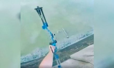 Video: Nailed It! Highest, Straightest Bowfishing Shot You’ve Ever Seen