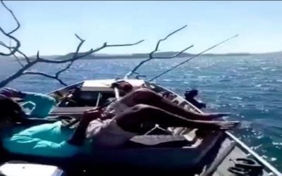 Video: Setting the Hook on Your Fishing Buddy Looks Just Like This