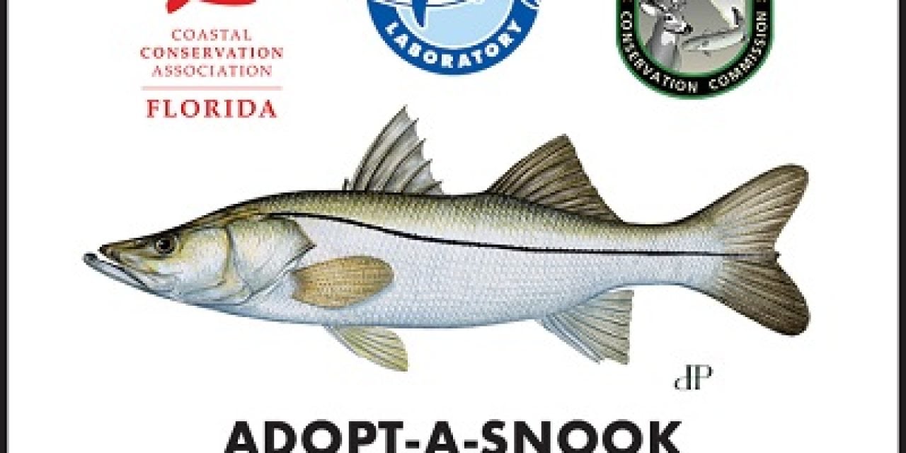 WEST COAST SNOOK POPULATION RECOVERY EFFORT FOLLOWING RED TIDE