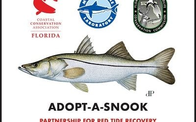 WEST COAST SNOOK POPULATION RECOVERY EFFORT FOLLOWING RED TIDE