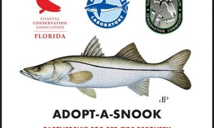 WEST COAST SNOOK POPULATION RECOVERY EFFORT FOLLOWING RED TIDE