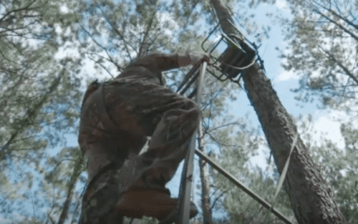 Why You Should Always Practice Treestand Safety