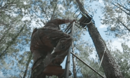 Why You Should Always Practice Treestand Safety