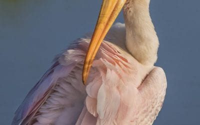 10 Ways To Work With The Light You’re Given