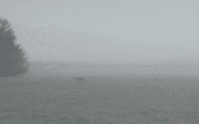 3 Reasons to Hunt in the Rain