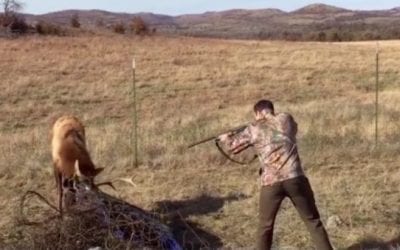 5 Times a Shotgun Saved the Day