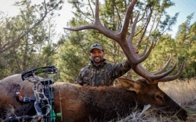 A Lot of Big Names are Dropping Big Bulls This Year