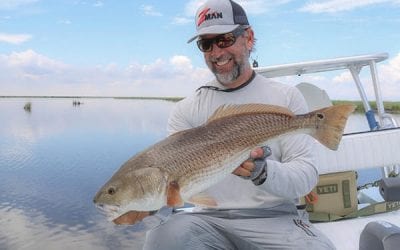 Big Redfish, Snook & Seatrout Tips