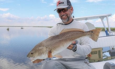 Big Redfish, Snook & Seatrout Tips