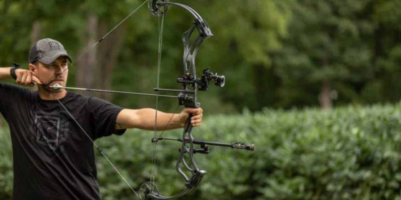 Bow Sights: Everything You Need to Know