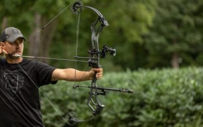 Bow Sights: Everything You Need to Know