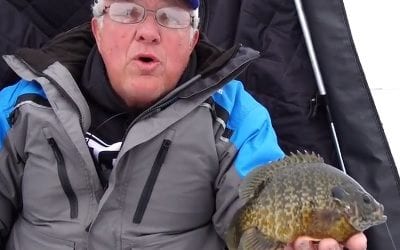 Clam Fish Traps with More Insulation – Fish Shelter Heat Retention