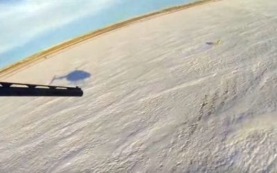 Coyote Hunter Kills 13 in 24 Minutes…From a Helicopter!