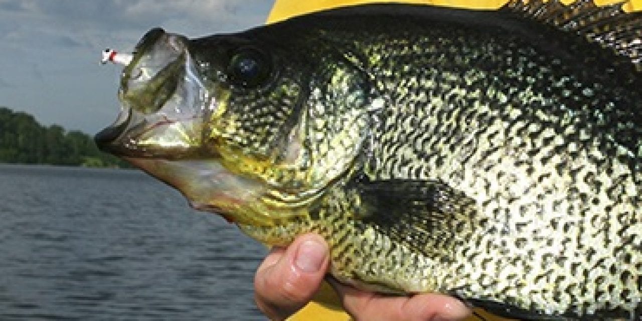 Fall Peak Crappies