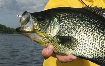 Fall Peak Crappies