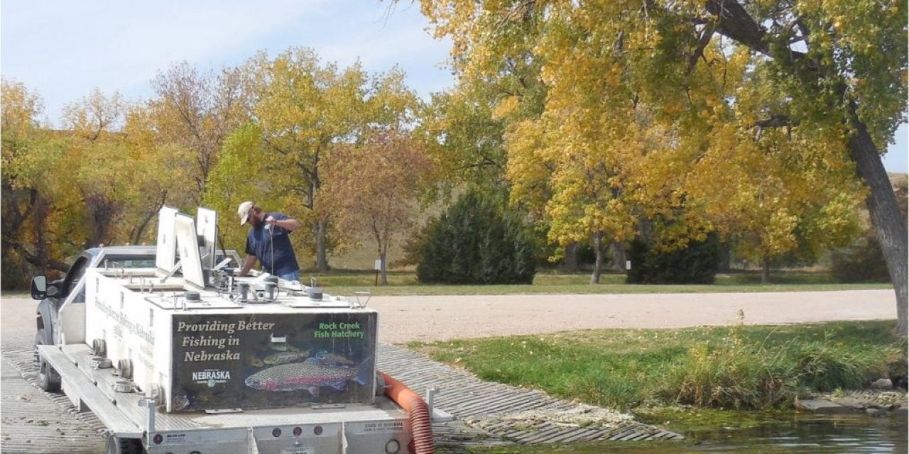 Fall Trout Stocking, 2018