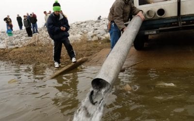 Fall Trout Stocking Update