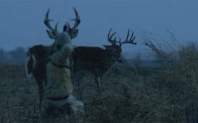 Feel the Intensity in This Awesome Spot-and-Stalk Bow Hunt Video