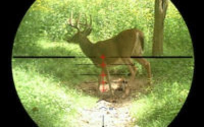 Five Tips for Managing Buck Fever